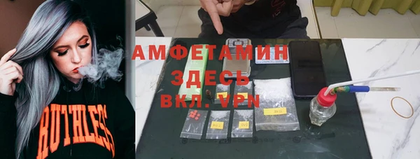 шишки Алексеевка