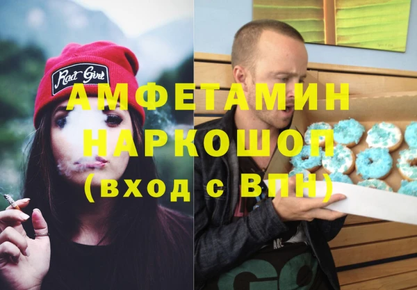 сатива Абинск