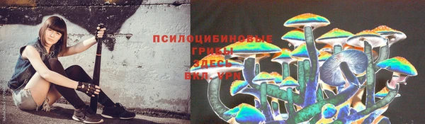 MESCALINE Алзамай